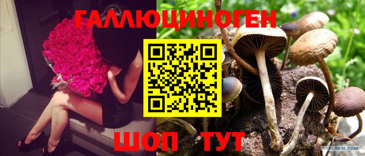 Псилоцибиновые грибы MAGIC MUSHROOMS Волгоград