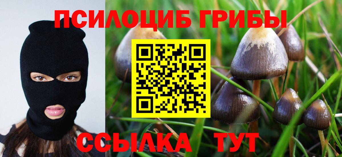 Галлюциногенные грибы GOLDEN TEACHER  Вход с VPN  где найти наркотики  Волгоград 